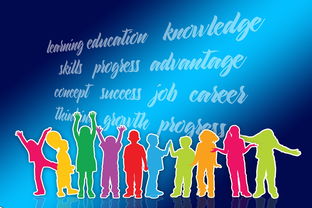 乐鱼app-中国篮球职业联赛品牌战略及市场推广研究，中国的职业篮球联赛