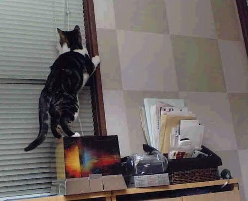 体育场馆安全管理措施,体育场馆安全管理措施方案