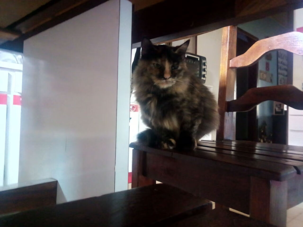 德甲裁判语义分析技术提升VAR判罚效率的应用,什么是var裁判