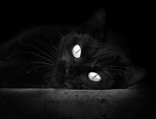 乐鱼体育网址-新闻中心绿色制造项目落地实施，绿色制造产业园