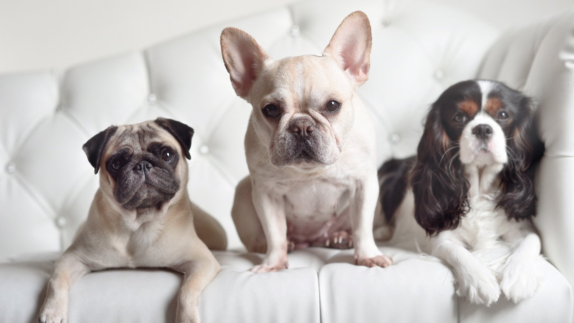 乐鱼app下载-“高新体育中心：武术赛事成为2025世界运动会的经典亮点”