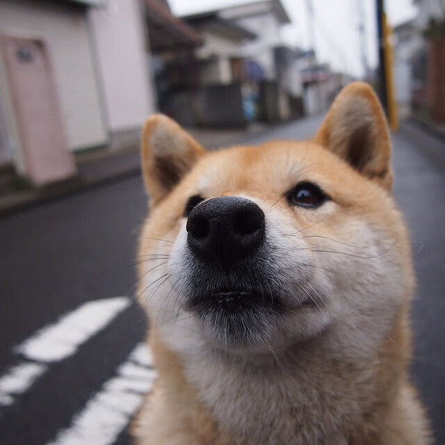 替补上场球员稳定球队节奏立功，该球员替补上场的位置与本身位置不符