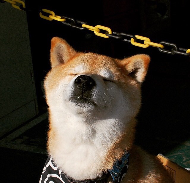 花样游泳训练基地启用配套设施全面升级，花样游泳基础训练