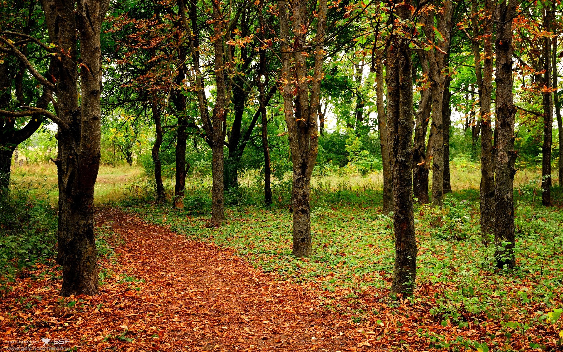 乐鱼体育app官网下载-轻艇马拉松人气爆棚，报名即刻秒空，世界陆上赛艇马拉松