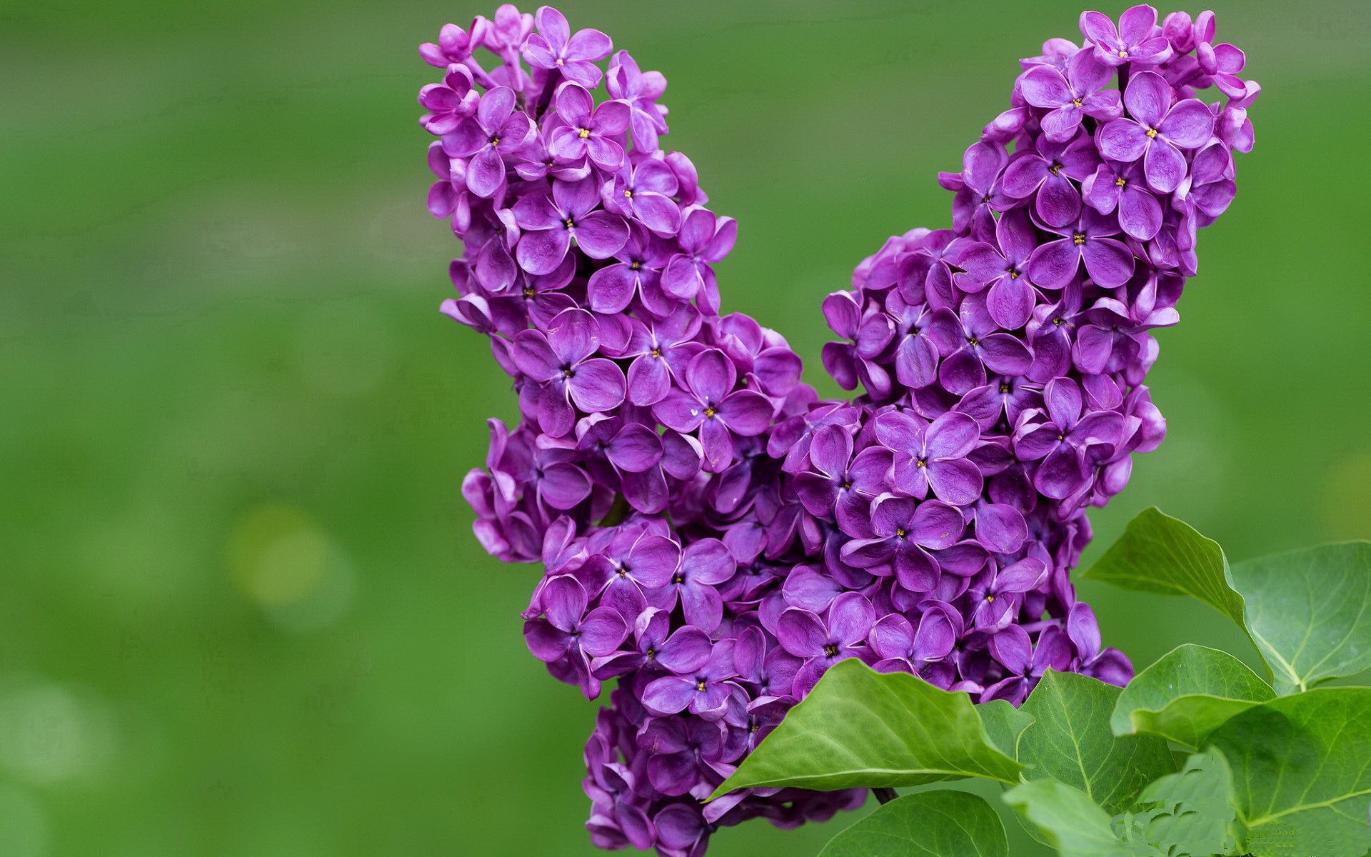 2026世界杯赛场打造高科技智能座椅，提升观众体验，世界杯威力智能站