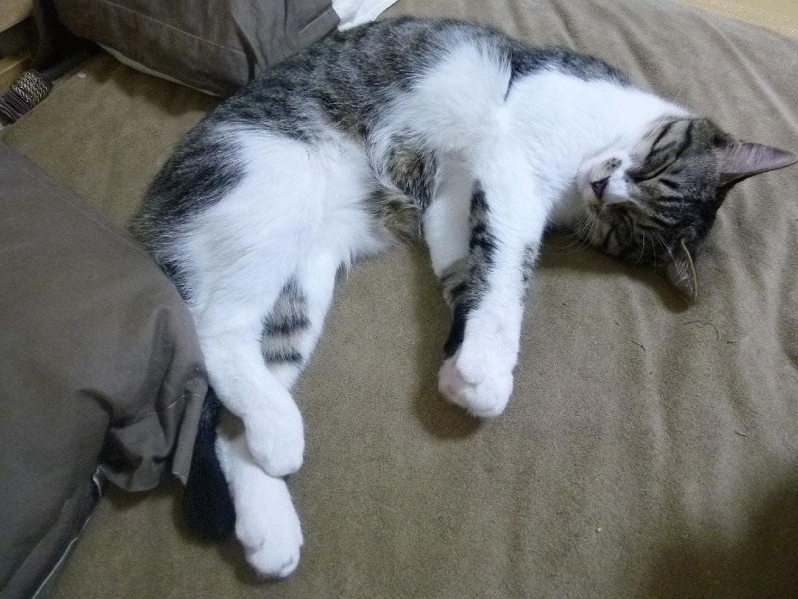 乐鱼体育网页登录-克日什托夫用实力回应挑战者，克日什托夫 基耶斯洛夫斯基