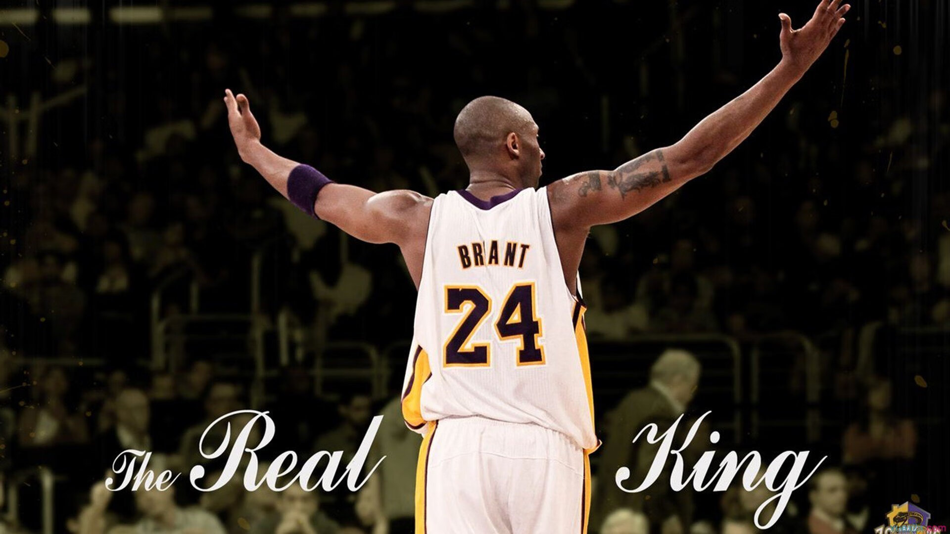 乐鱼体育下载-林丹现场示范技战术讲解引掌声，林丹训练视频